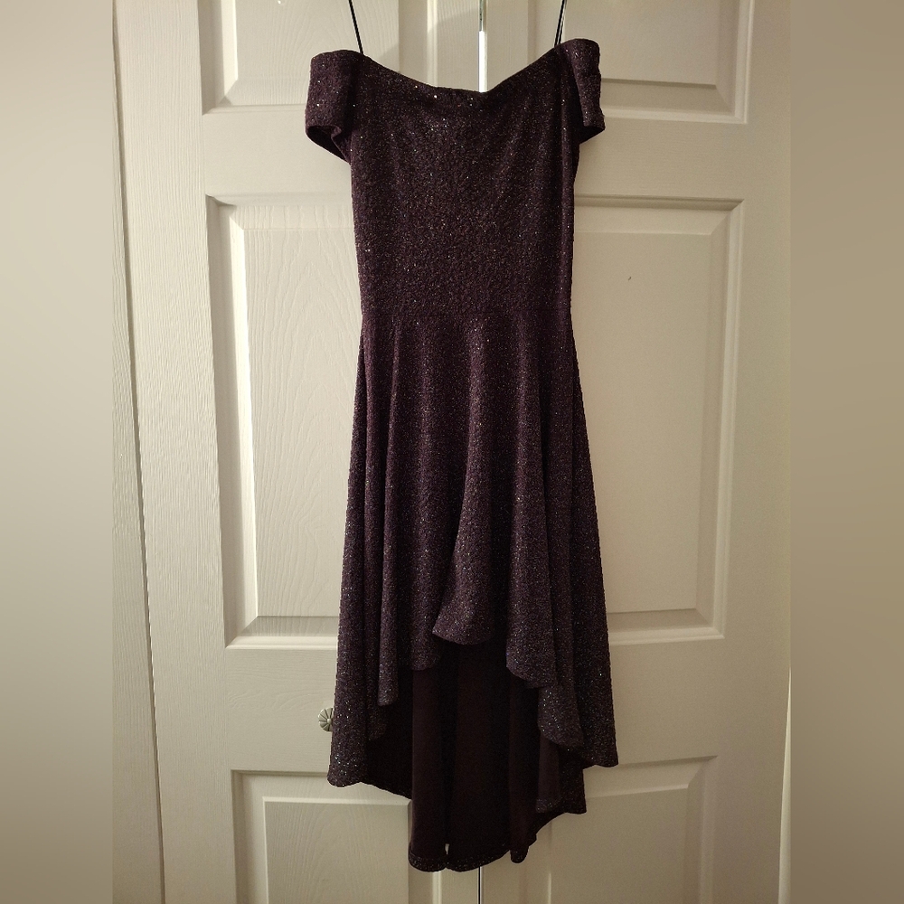 Windsor Off Shoulder Sparkly Dress